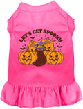 Hot pink spooky pet dress with pumpkins and cat design