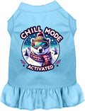 Blue Chill Mode Activated pet dress with bear design