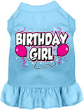 Birthday Girl Pet Dress