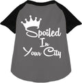 Custom Spoiled In Pet Raglan Shirts