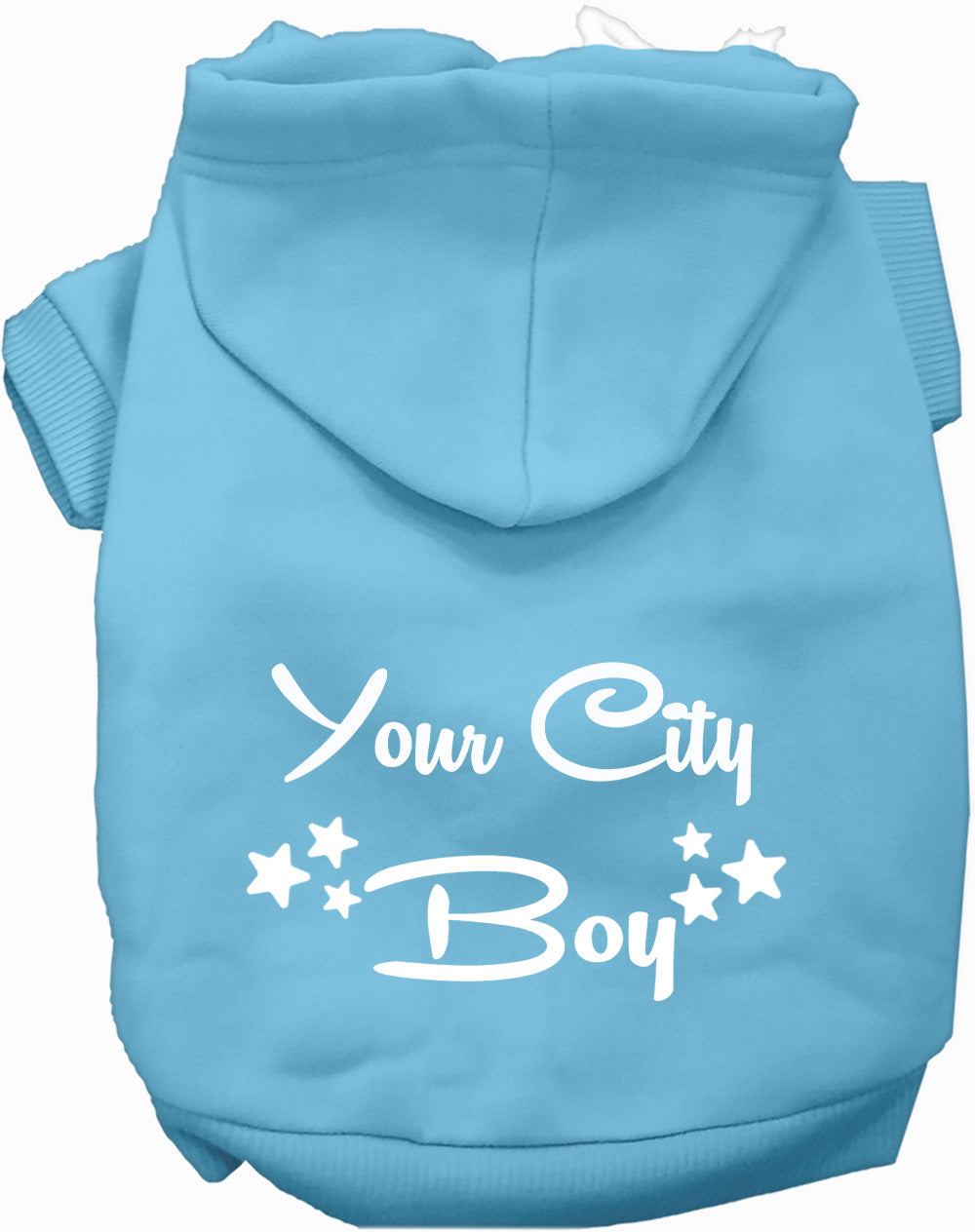 Custom Boy Pet Hoodie