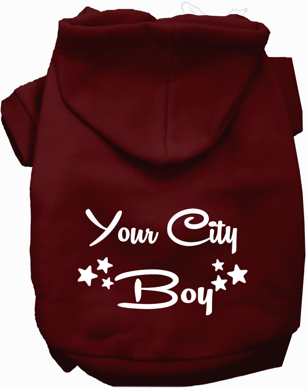 Custom Boy Pet Hoodie