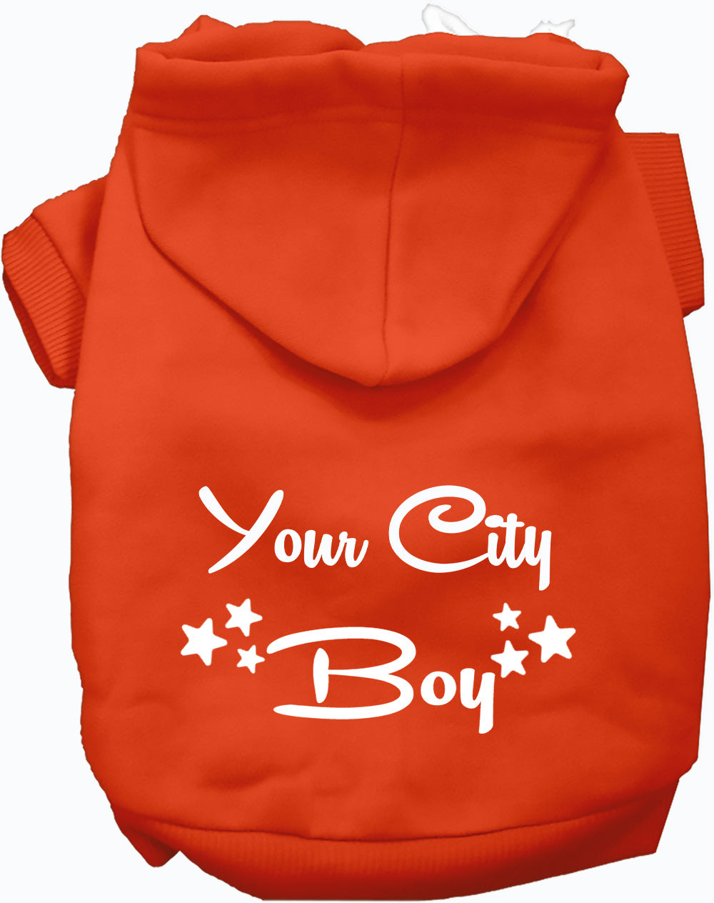 Custom Boy Pet Hoodie