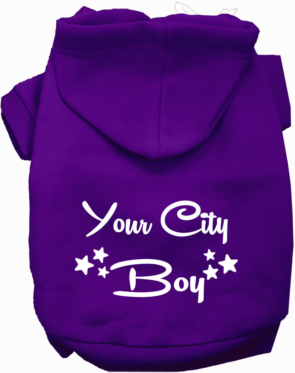 Custom Boy Pet Hoodie