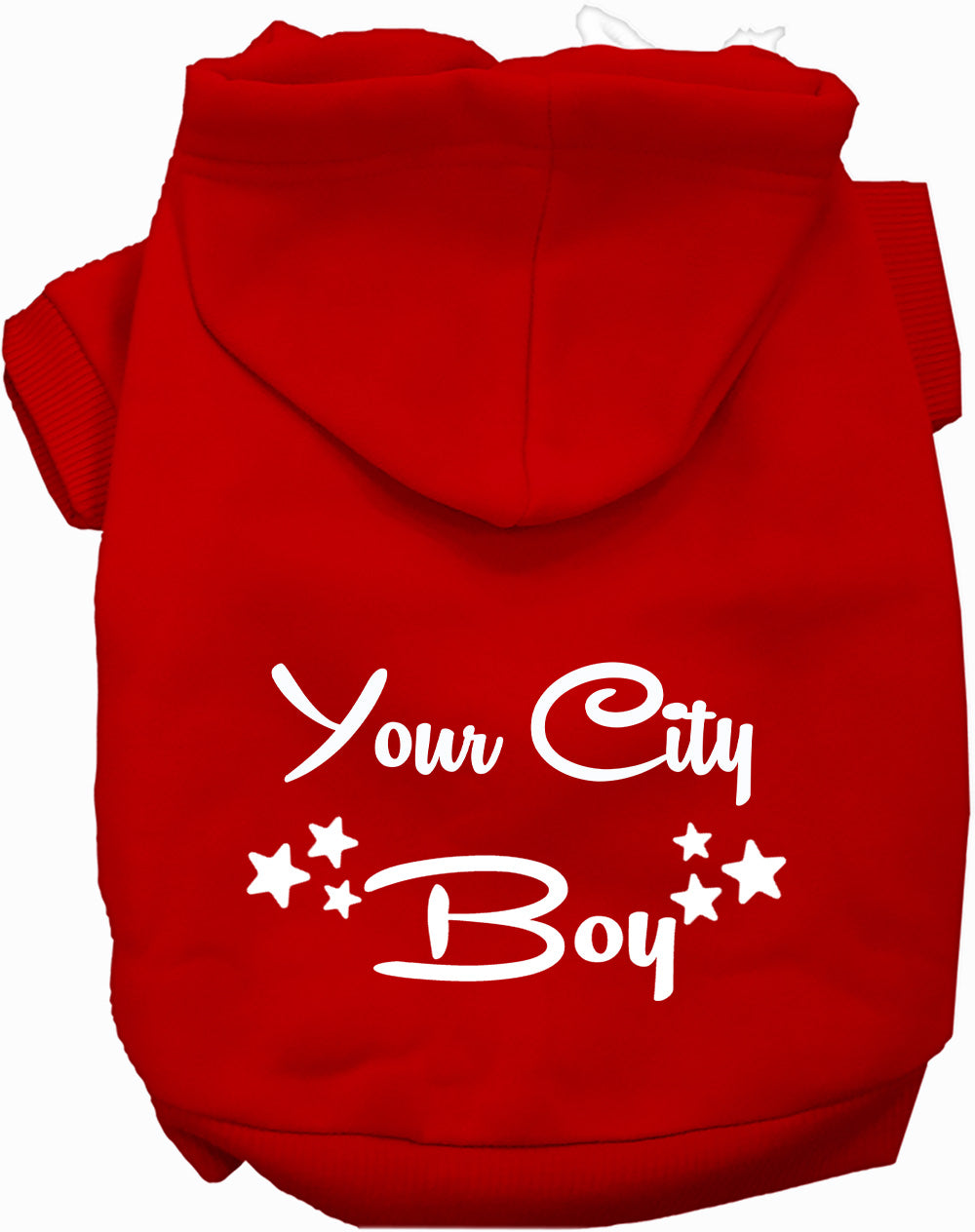 Custom Boy Pet Hoodie