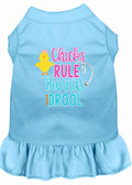 Pet Dress "Chicks Rule, Bunnies Drool"