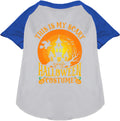 Blue pet raglan shirt with Halloween design