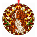 Nova Scotia Duck Tolling Retriever — Red and White