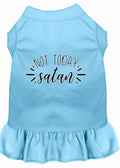 Pet Dress "Not Today Satan"